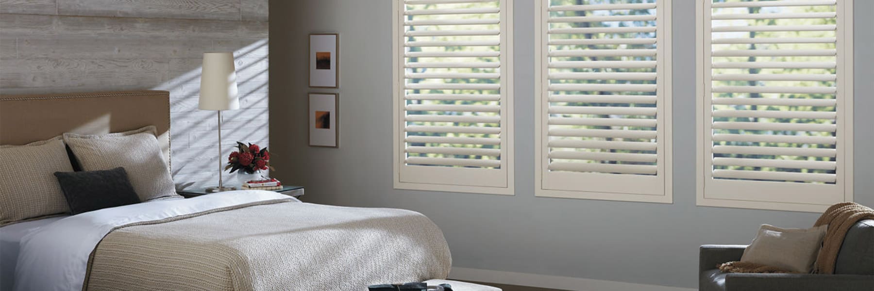 Terms and Conditions 